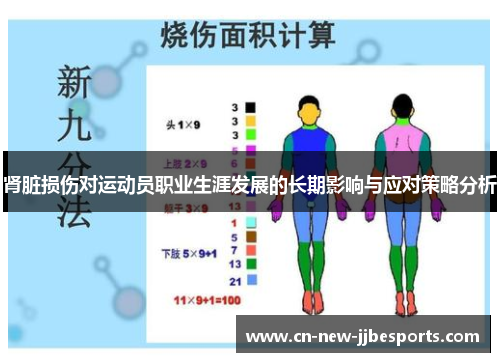 肾脏损伤对运动员职业生涯发展的长期影响与应对策略分析