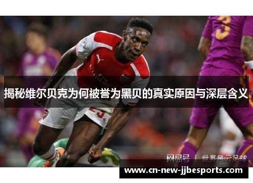 揭秘维尔贝克为何被誉为黑贝的真实原因与深层含义