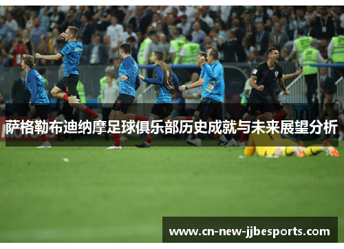 萨格勒布迪纳摩足球俱乐部历史成就与未来展望分析